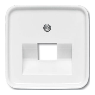Busch-Jaeger Rosace centrale aws pour boîte de connexion UAE 1f 1803-214