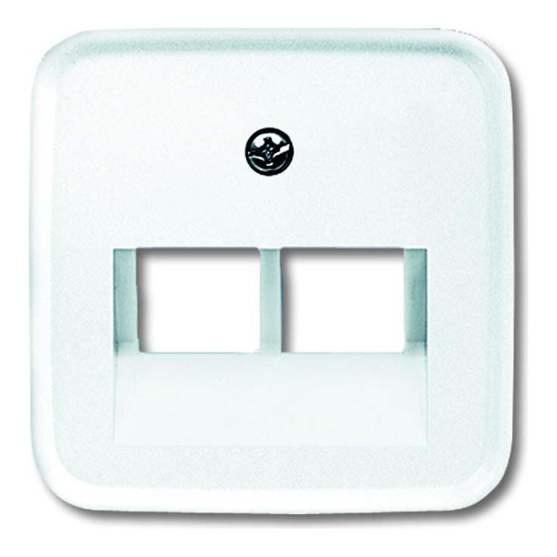 Busch-Jaeger Rosace centrale aws pour boîte de connexion UAE 2f 1803-02-214
