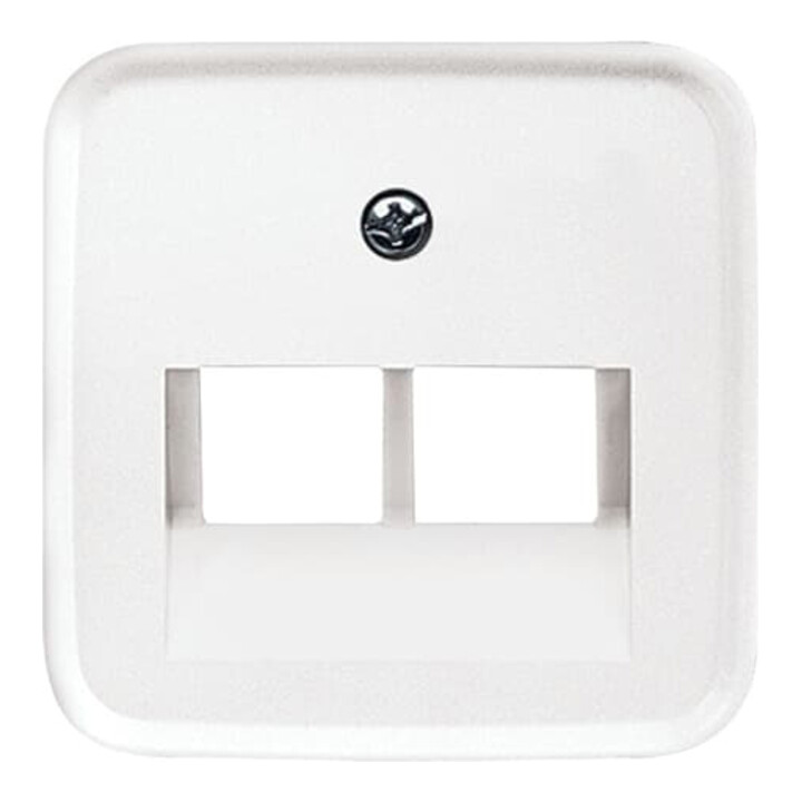 Busch-Jaeger Rosace centrale aws pour boîte de connexion UAE 2f 1803-02-214