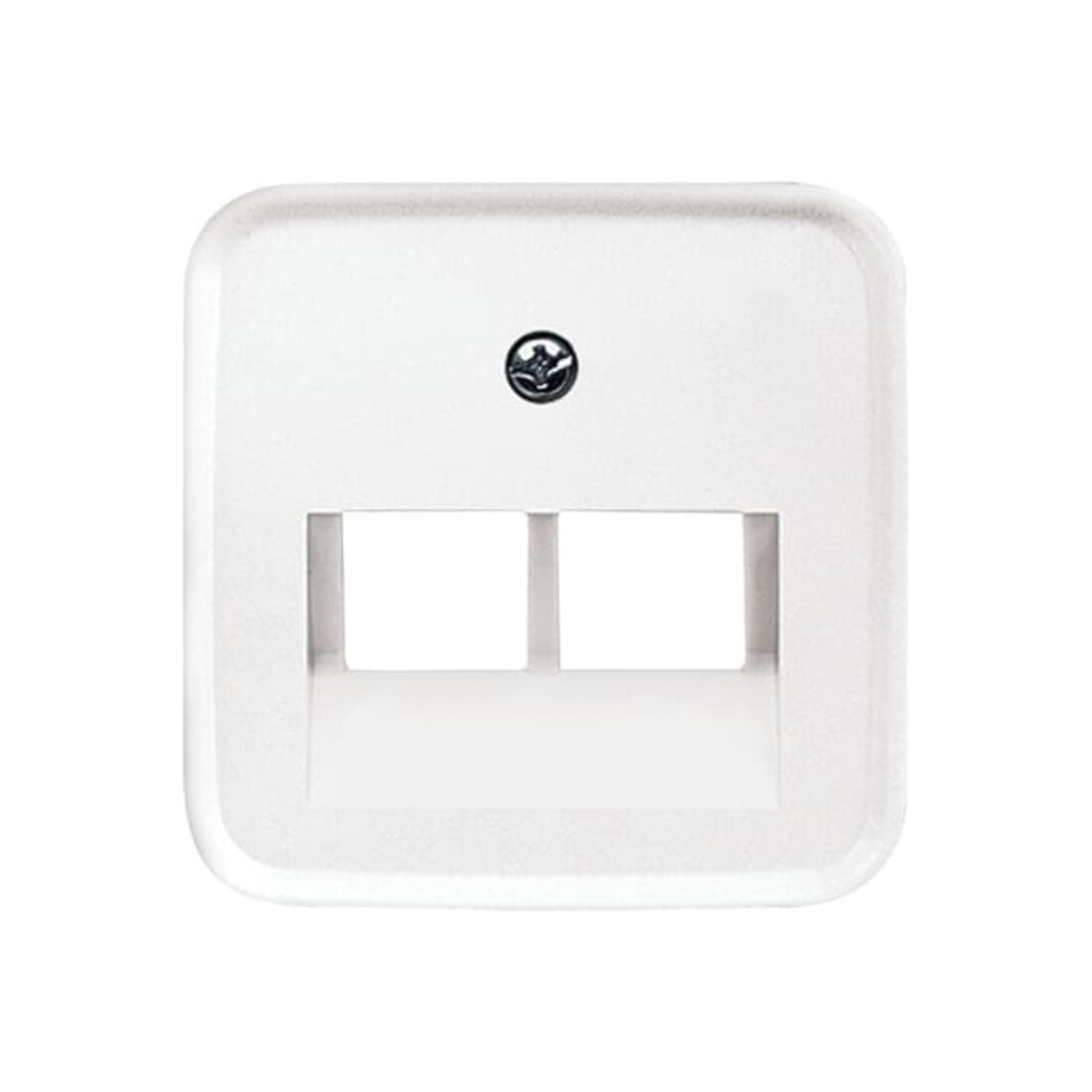 Busch-Jaeger Rosace centrale aws pour boîte de connexion UAE 2f 1803-02-214