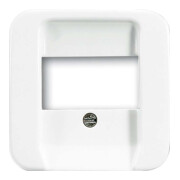 Busch-Jaeger Rosace centrale aws pour insert TAE 2539-214-1