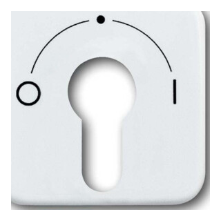 Busch-Jaeger Rosace centrale aws pour interrupteur à clé 2557 SLPZ-214-101