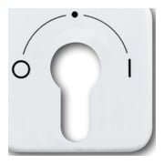 Busch-Jaeger Rosace centrale aws pour interrupteur à clé 2557 SLPZ-214-101-1