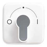 Busch-Jaeger Rosace centrale aws pour interrupteur à clé 2557 SLPZ-214-101-3