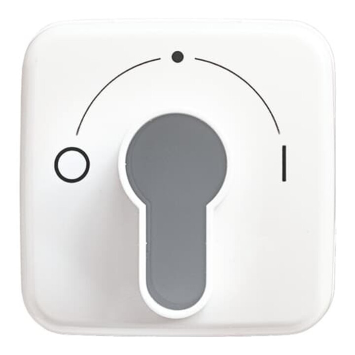 Busch-Jaeger Rosace centrale aws pour interrupteur à clé 2557 SLPZ-214-101