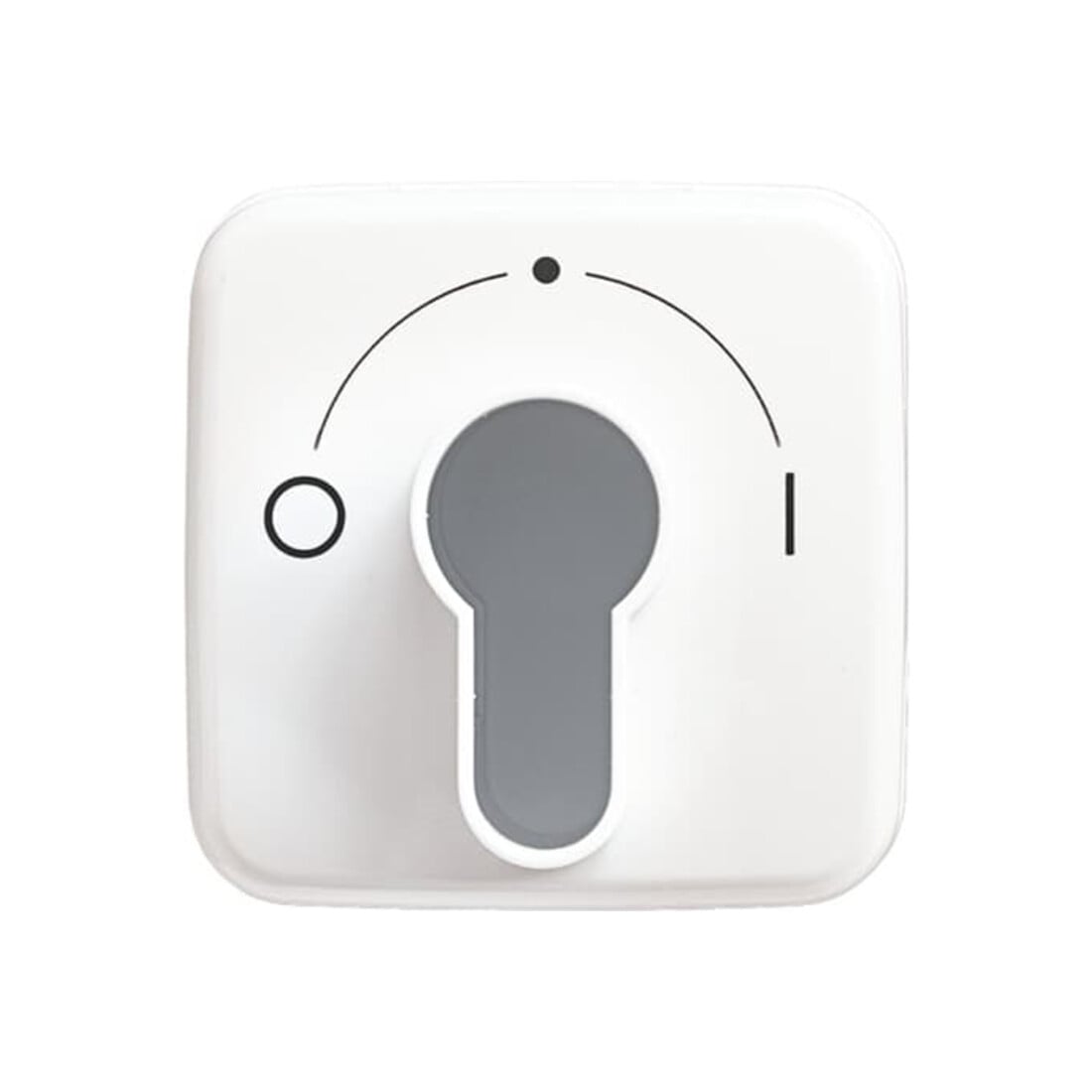 Busch-Jaeger Rosace centrale aws pour interrupteur à clé 2557 SLPZ-214-101