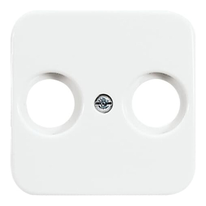 Busch-Jaeger Rosace centrale aws pour prise antenne 2 trous 2531-214