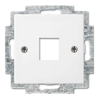 Busch-Jaeger Rosace centrale blanc alpin pour communication de données 2561-914