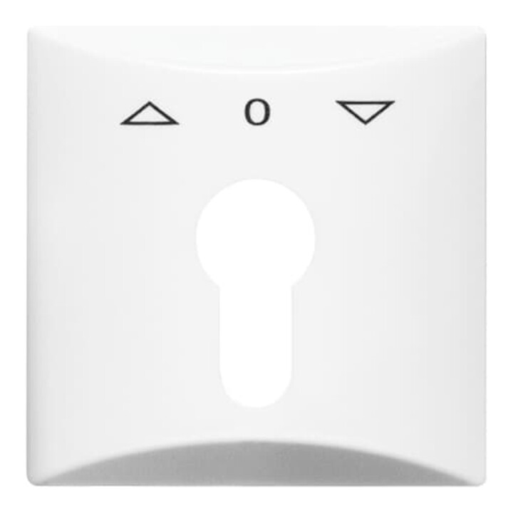 Busch-Jaeger Rosace centrale blanc alpin pour demi-cylindre Profil 2155 PZ-34