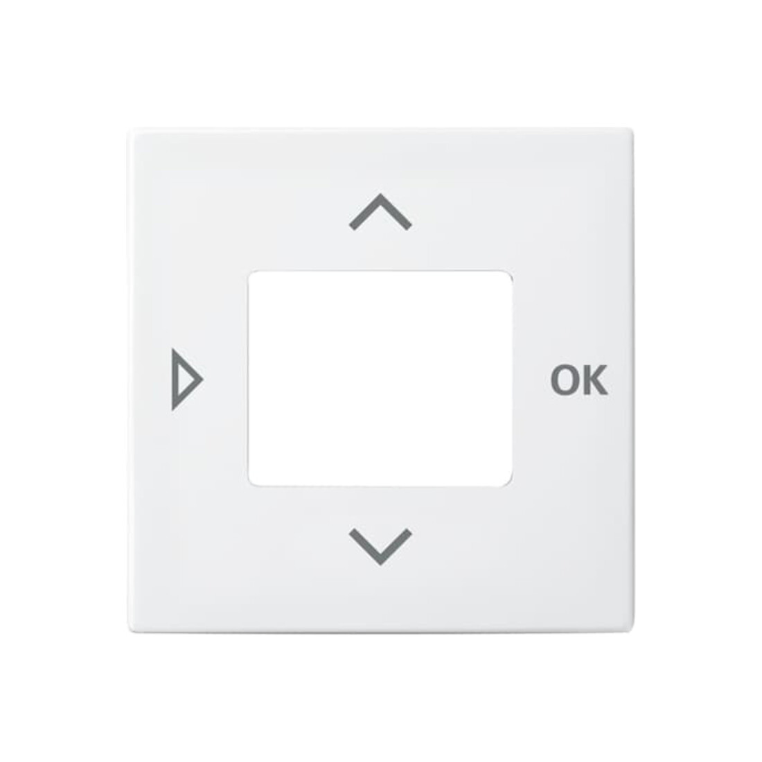 Busch-Jaeger Rosace centrale blanc alpin pour minuterie 6435-914