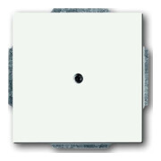 Busch-Jaeger Rosace centrale blanche avec bague de support 1742-884-1