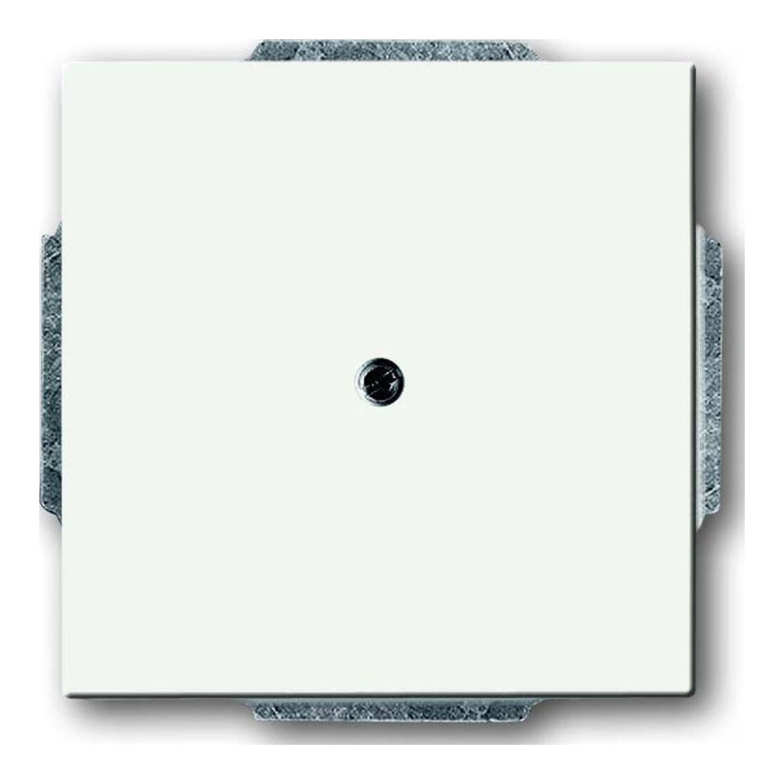 Busch-Jaeger Rosace centrale blanche avec bague de support 1742-884