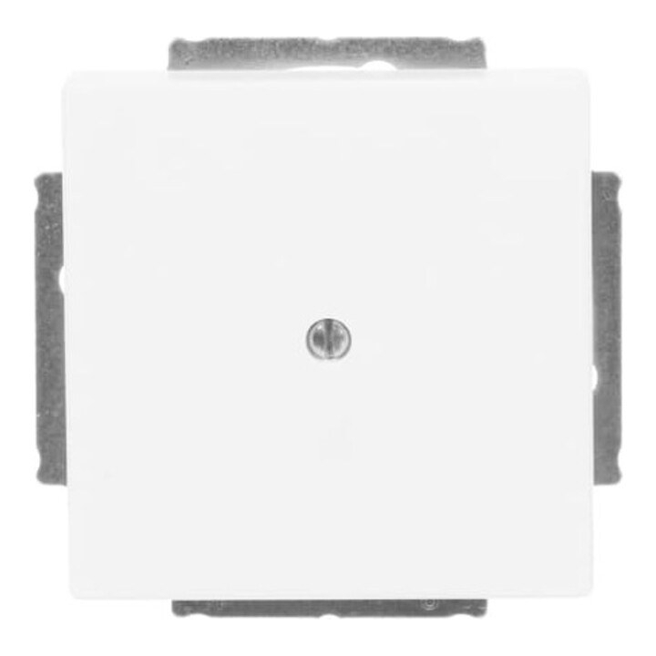 Busch-Jaeger Rosace centrale blanche avec bague de support 1742-884