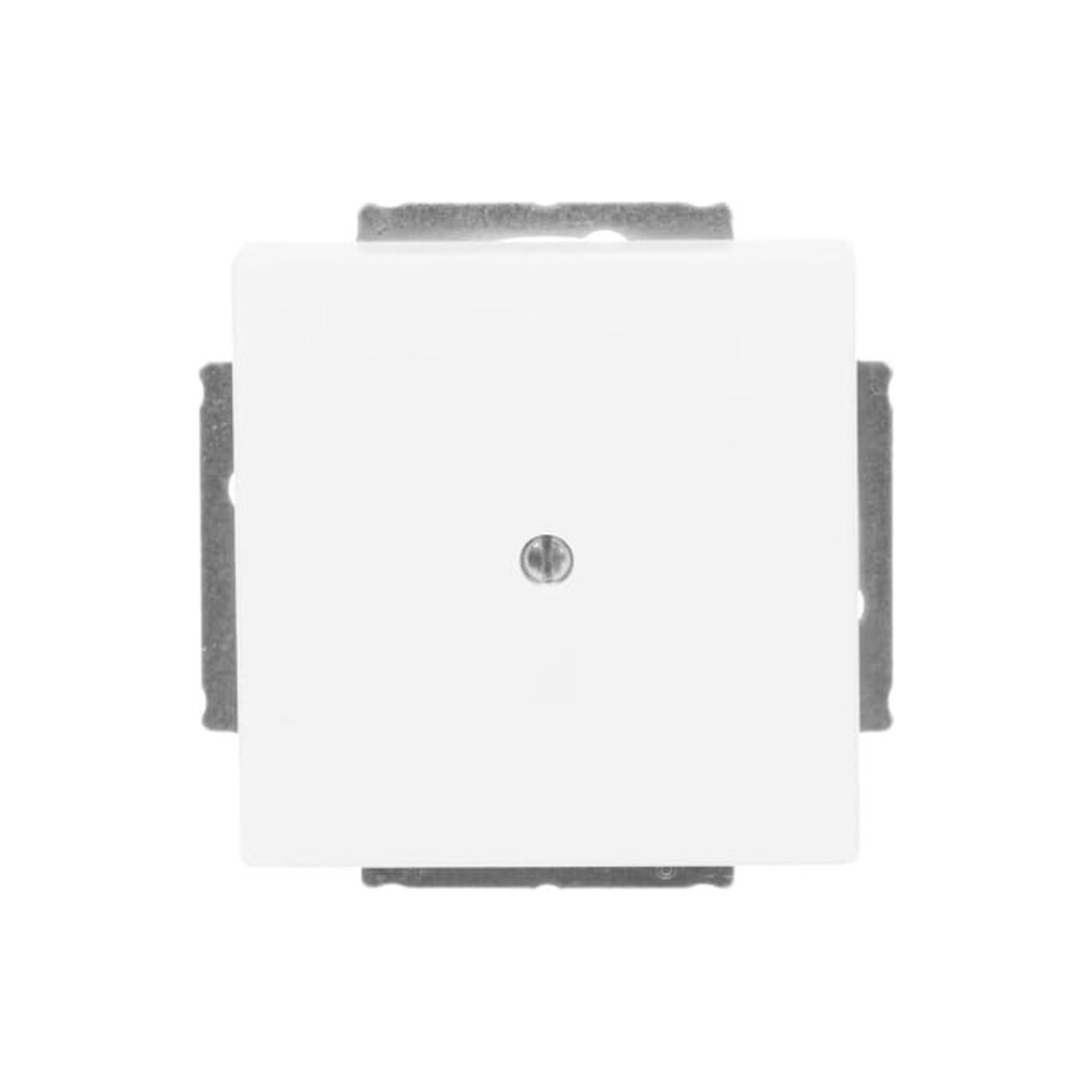 Busch-Jaeger Rosace centrale blanche avec bague de support 1742-884