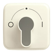 Busch-Jaeger Rosace centrale blanche pour interrupteur à clé 2557 SLPZ-212-101-3