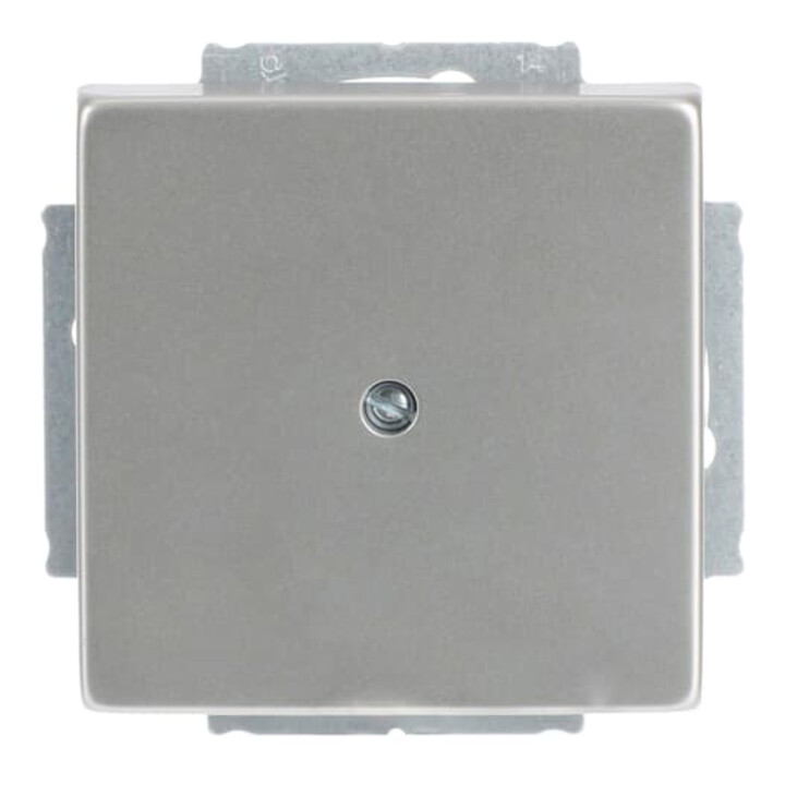 Busch-Jaeger Rosace centrale eds cache-mastic avec bague de support 1742-866