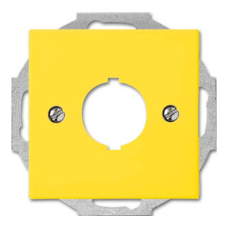 Busch-Jaeger Rosace centrale jaune pour communication de données 2533-914-15