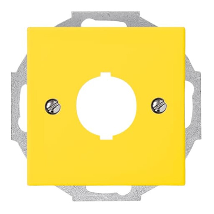 Busch-Jaeger Rosace centrale jaune pour communication de données 2533-914-15