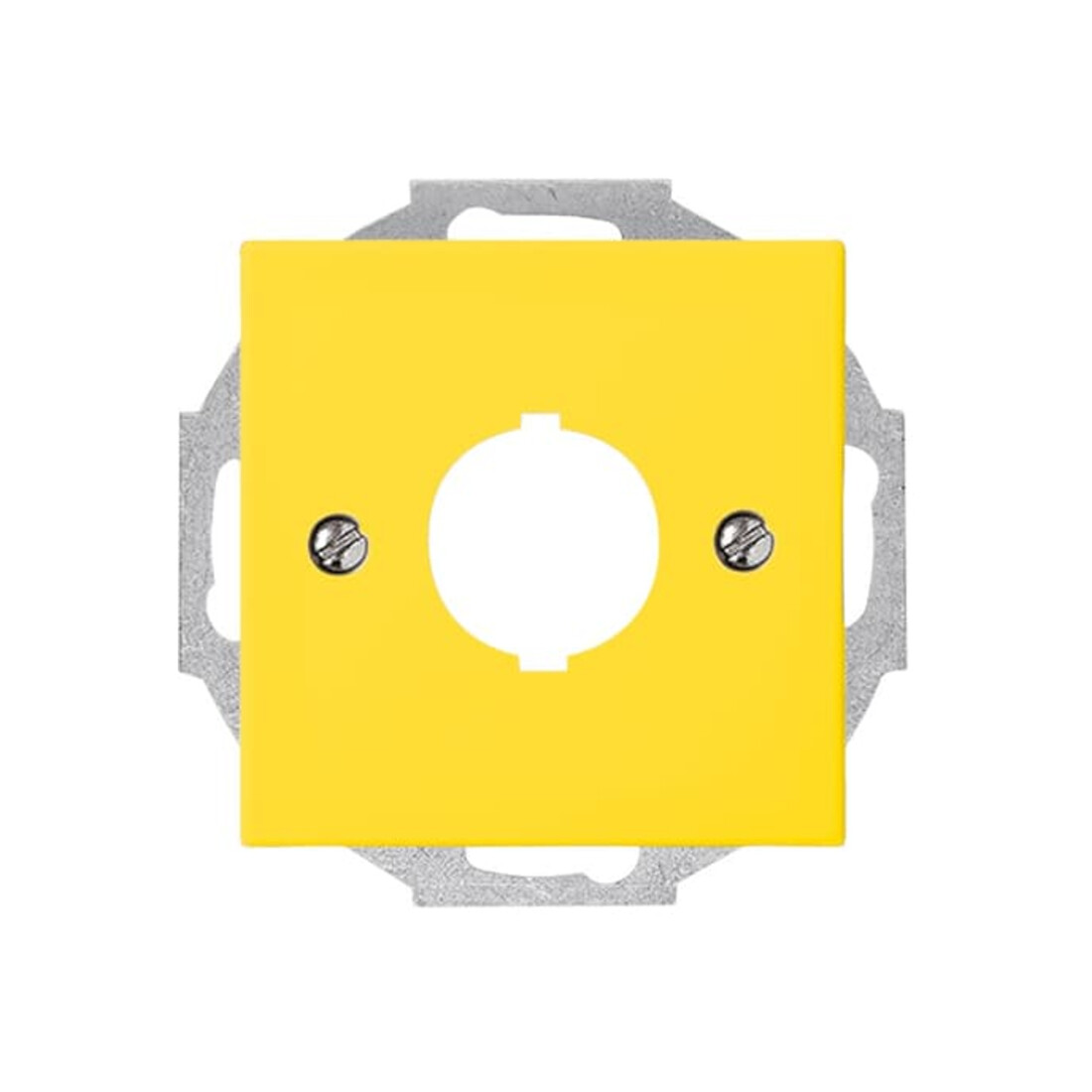 Busch-Jaeger Rosace centrale jaune pour communication de données 2533-914-15