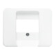 Busch-Jaeger Rosace centrale lisse stws pour UAE/TAE/LS 1766-24G