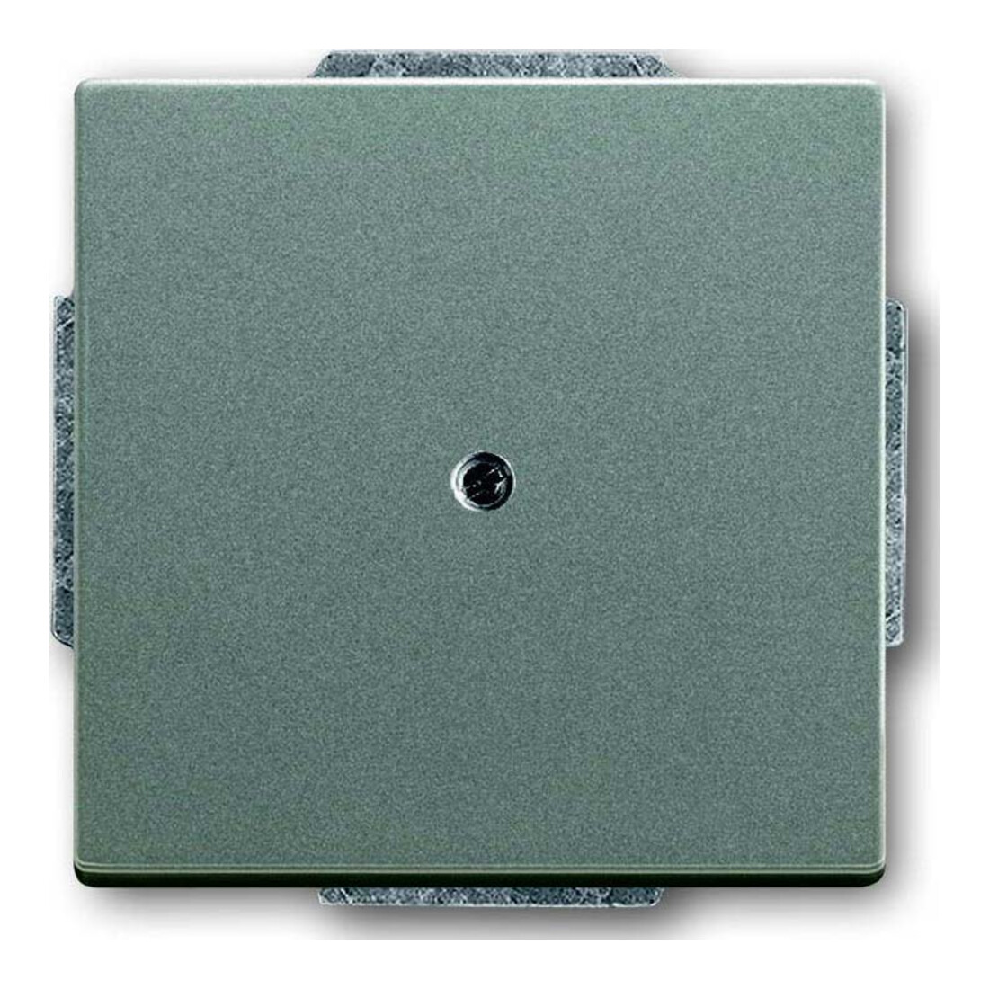 Busch-Jaeger Rosace centrale meteor aveugle avec bague de support 1742-803