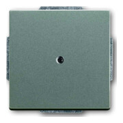Busch-Jaeger Rosace centrale meteor aveugle avec bague de support 1742-803-2