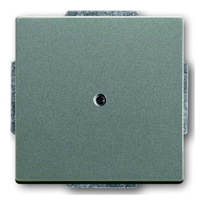 Busch-Jaeger Rosace centrale meteor aveugle avec bague de support 1742-803