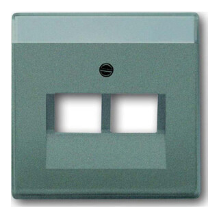Busch-Jaeger Rosace centrale météor/gr pour boîte de connexion UAE 2f 1803-02-803