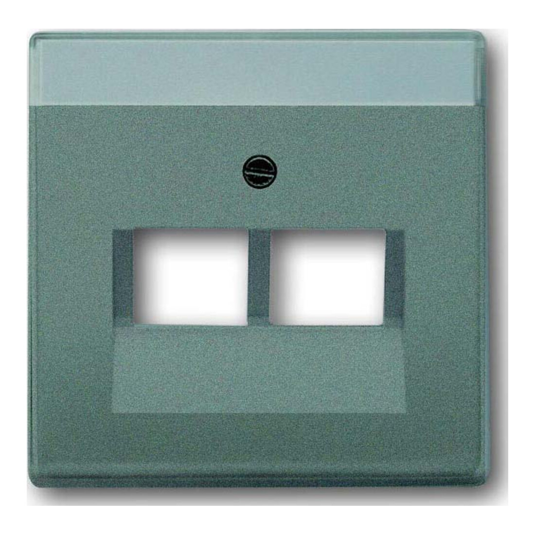 Busch-Jaeger Rosace centrale météor/gr pour boîte de connexion UAE 2f 1803-02-803