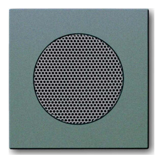 Busch-Jaeger Rosace centrale météorite/gr pour haut-parleur EB 8253-803