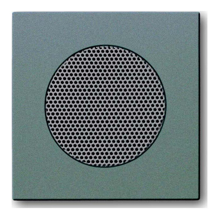 Busch-Jaeger Rosace centrale météorite/gr pour haut-parleur EB 8253-803