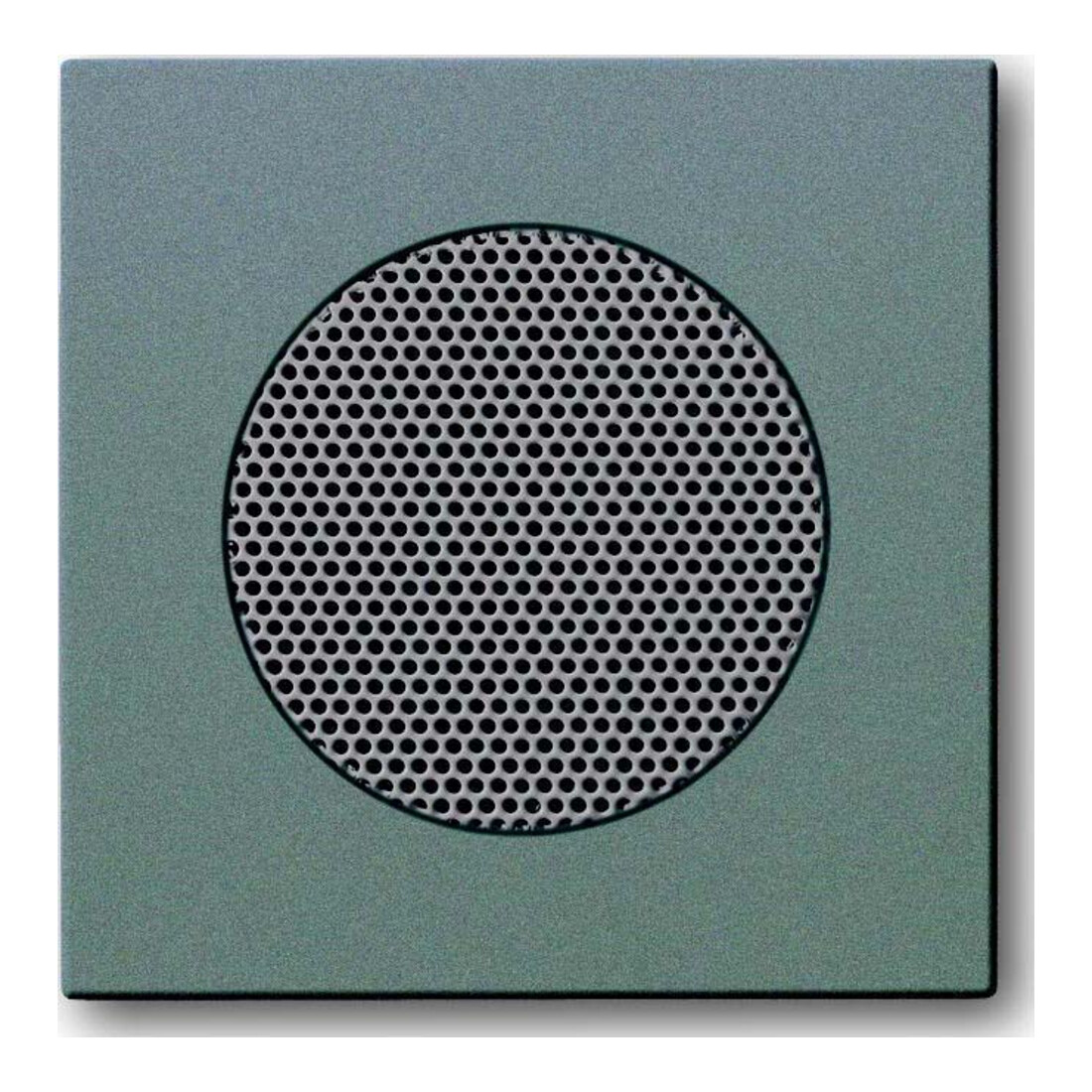 Busch-Jaeger Rosace centrale météorite/gr pour haut-parleur EB 8253-803