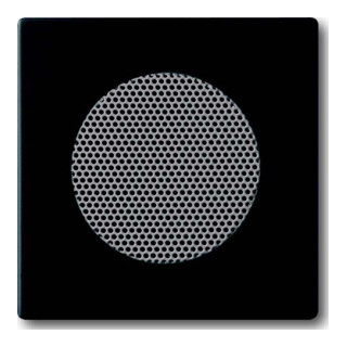 Busch-Jaeger Rosace centrale noire avec microphone pour haut-parleur EB 8253-885