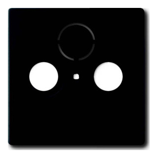 Busch-Jaeger Rosace centrale noire mat pour prise antenne 2 trous 1743-885