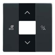 Busch-Jaeger Rosace centrale RTR anthracite 6235-81-1