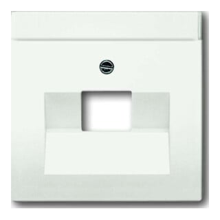 Busch-Jaeger Rosace centrale stws avec connexion UAE 1f 1803-884