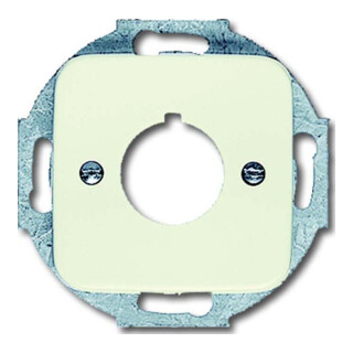 Busch-Jaeger Rosace centrale ws 22,5 mm dispositifs de commande 2533-212