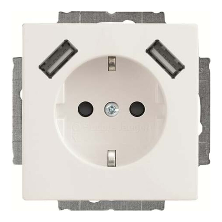 Busch-Jaeger SCHUKO-2x USB Steckdose 20 EUCB2USB-84