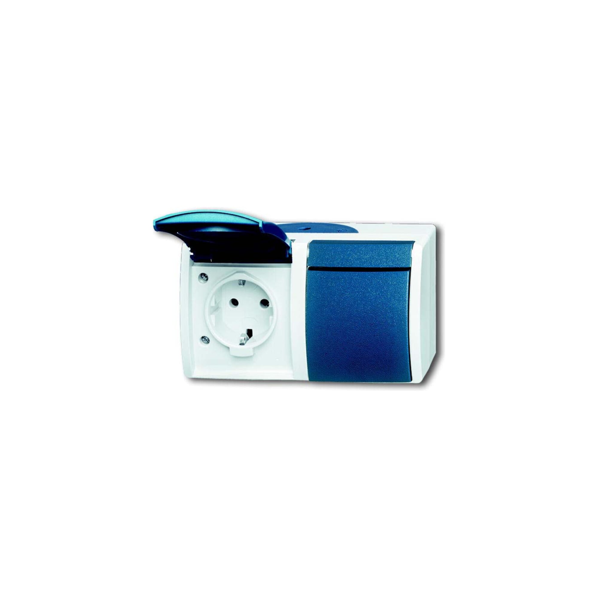 Busch-Jaeger Schuko-Steckdose 2f.gr/bgn waagerecht 20/2 EW-53