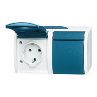 Busch-Jaeger Schuko-Steckdose 2f.gr/bgn waagerecht 20/2 EW-53