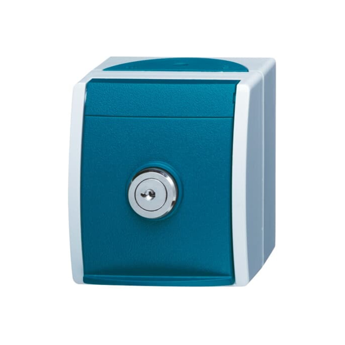 Busch-Jaeger Schuko-Steckdose Einheitsschloss 20 EWSL-101-53