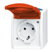 Busch-Jaeger Schuko-Steckdose mit EDV/Namensschild 20 EW/DVN-53-3