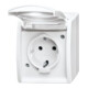 Busch-Jaeger Schuko-Steckdose mit Klappdeckel 20 EW-54