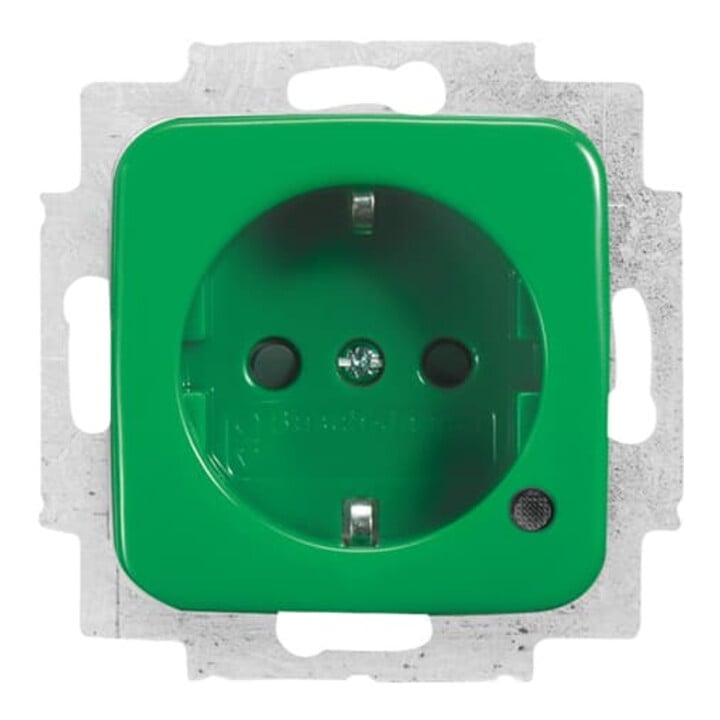 Busch-Jaeger Schuko-Steckdoseneinsatz grün RAL 6032 20 EUCBL-13-212-101