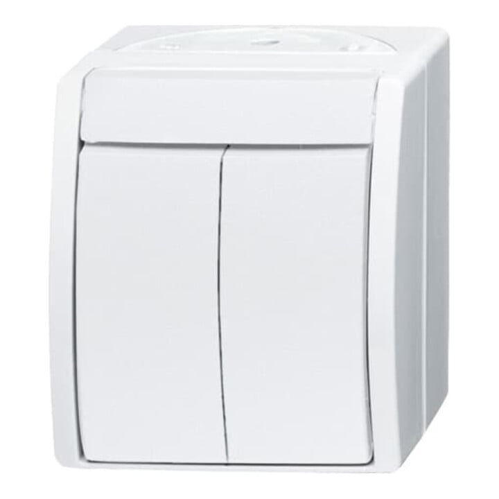 Busch-Jaeger Serienschalter 2601/5 W-54