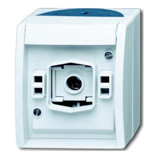 Busch-Jaeger Signal lumineux sans capot AP 2661 W-53