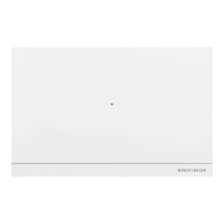 Busch-Jaeger Smart Access Point Pro D04011-03