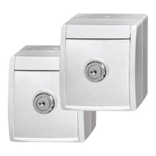 Busch-Jaeger Steckdose aufputz 20/20 EWSL-54