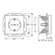Busch-Jaeger Steckdosen-Einsatz sav/ews Schuko 2P+E 16A 250V 20 EUC-82-3