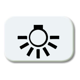 Busch-Jaeger Symbole de bouton-poussoir aws Licht 2525 LI-214